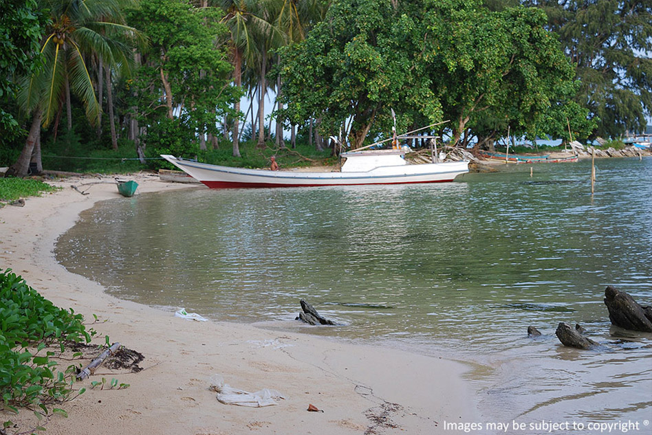 Tranquil Beach Land View